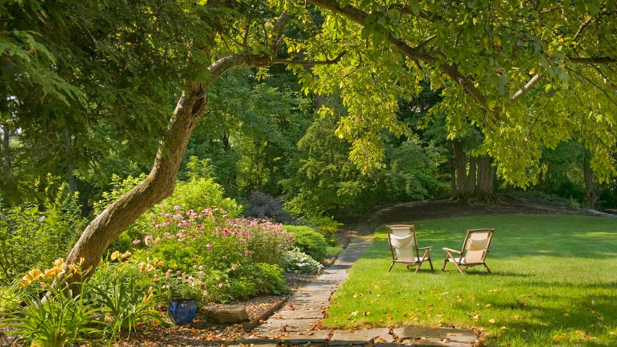 AOS Outdoor Services - Professional Tree & Garden Services