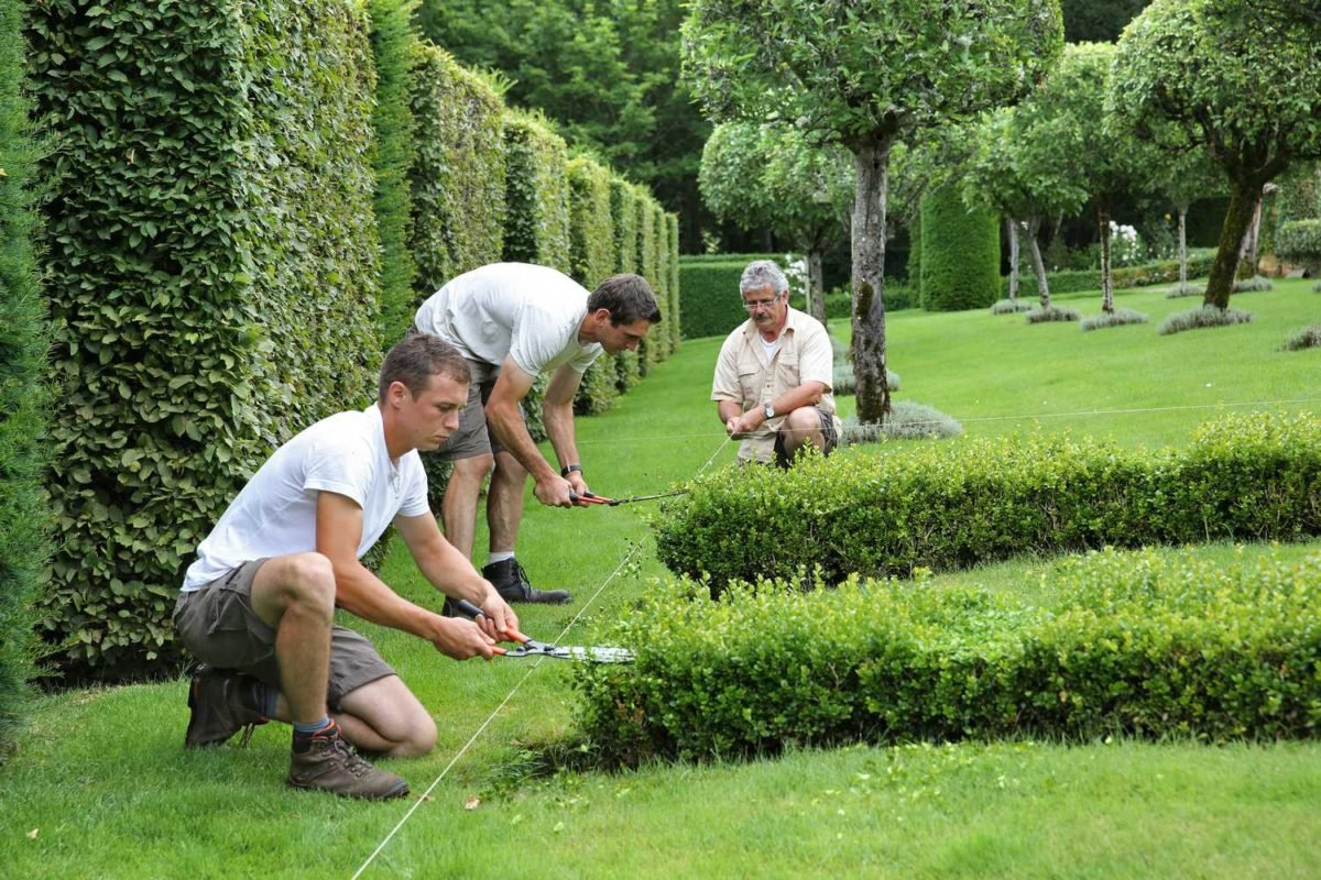 AOS Outdoor Services Team - 18 Years of Experience